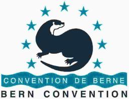 Bern Convention